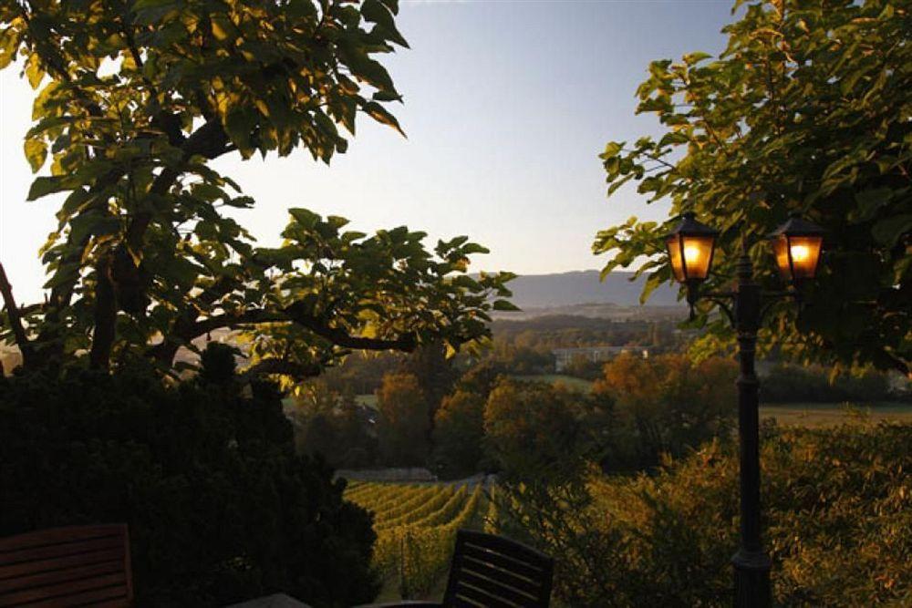 Domaine De Chateauvieux Hotel Peney Dessus