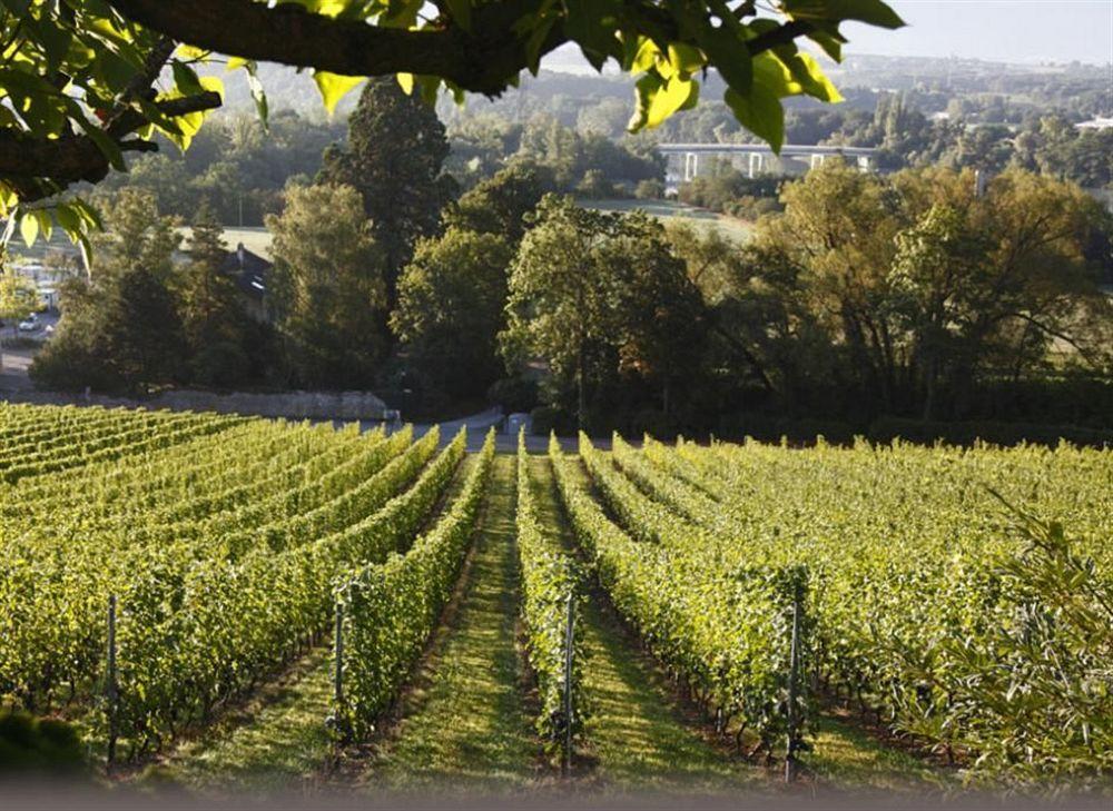 Domaine De Chateauvieux Peney Dessus