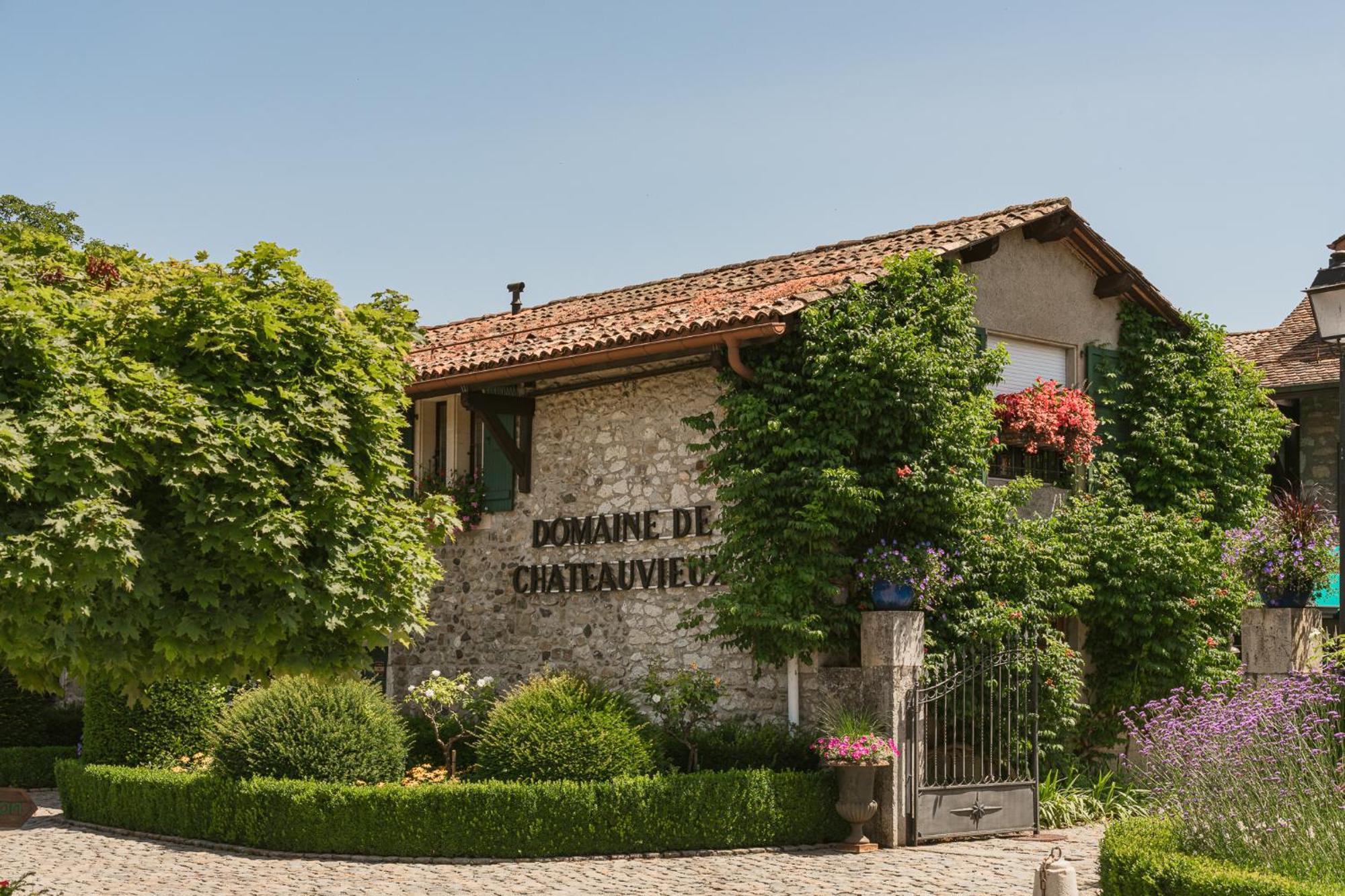 Hotel Domaine De Chateauvieux