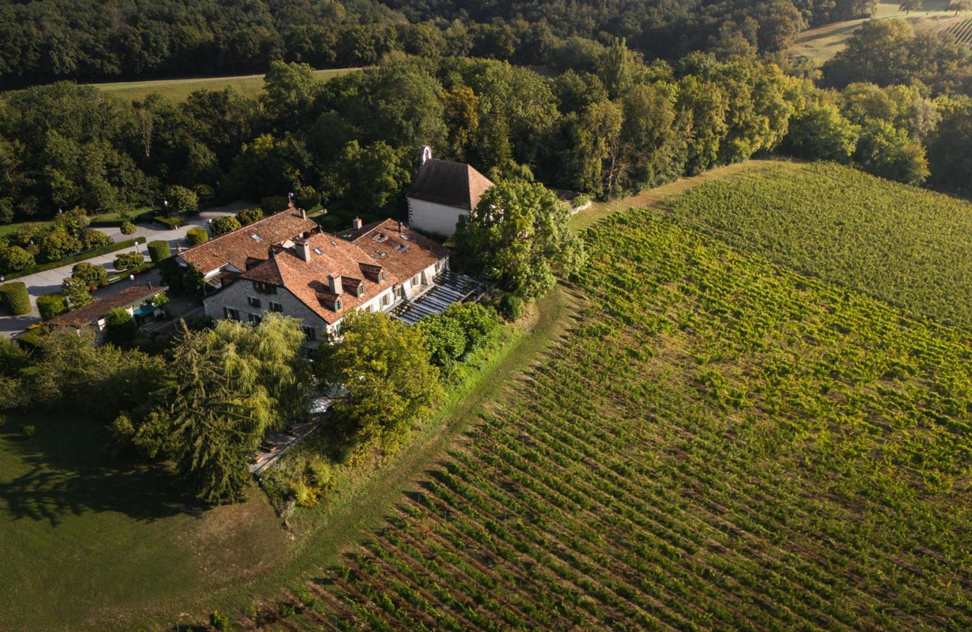 Domaine De Chateauvieux