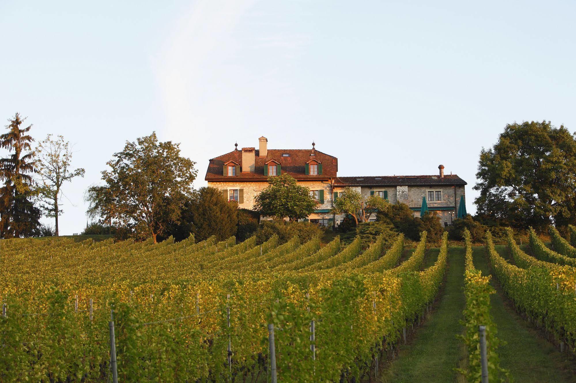 Hotel Domaine De Chateauvieux 4*